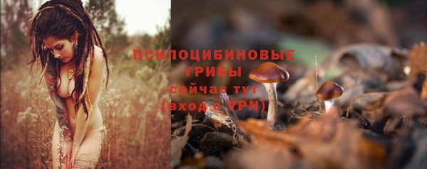 шишки Протвино