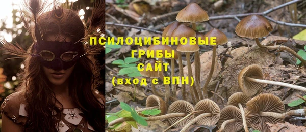 spice Россошь