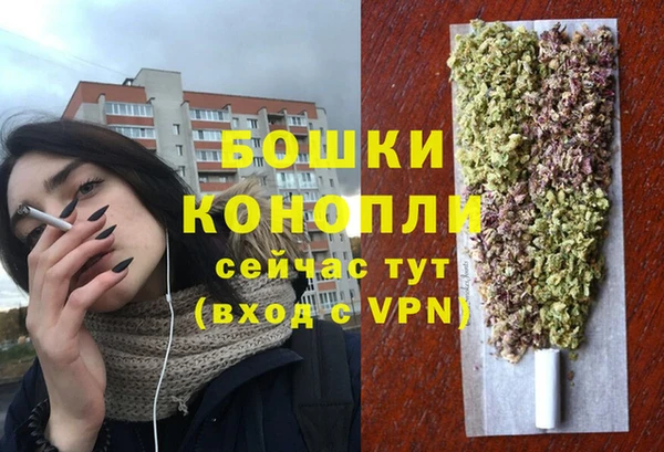 шишки Протвино
