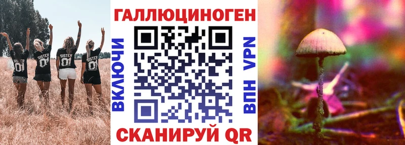 Псилоцибиновые грибы Psilocybe  Купить  Железноводск 